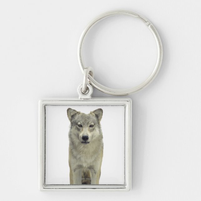Ein Wolf Schlüsselanhänger (Vorne)