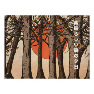 Ein wunderbarer Waldsonnenuntergang Poster