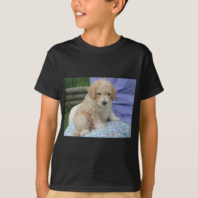 Ein wunderschöner Cavapoo Welpe, abgeschieden T-Shirt (Vorderseite)