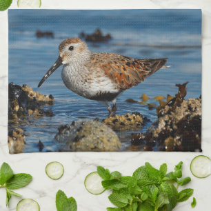 Ein wunderschöner Dunlin Goes Solo Geschirrtuch
