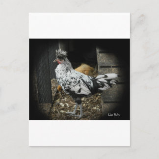 ein wunderschönes Design eines schönen exotischen  Postkarte