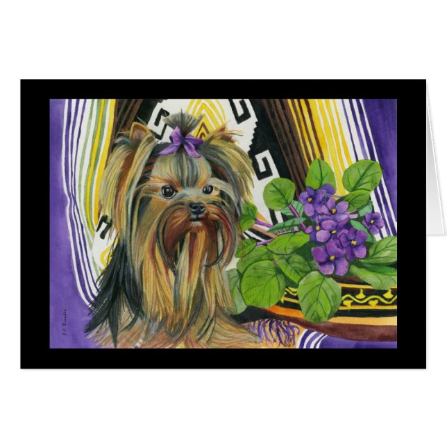 Ein Yorkie genannt Violet (Vorderseite (Horizontal))