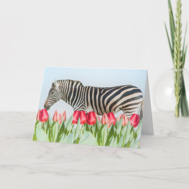 Ein Zebra unter den Tulpen Karte (Vorderseite)