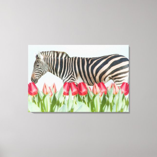 Ein Zebra unter den Tulpen Leinwanddruck (Vorderseite)