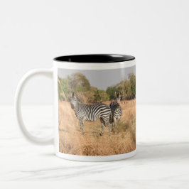 Ein Zebras-Paar im unteren Zambezi Zweifarbige Tasse