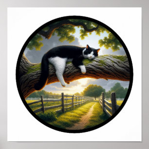 Ein zirkuläres 3D Bild einer schönen Tuxedo Katze Poster
