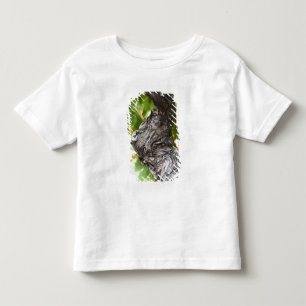 Ein Zweig einer sehr alten Rebe mit knotiger Kleinkind T-shirt