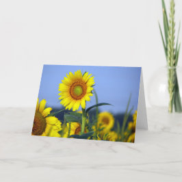 Einblenden für Ihre Anpassung Karte