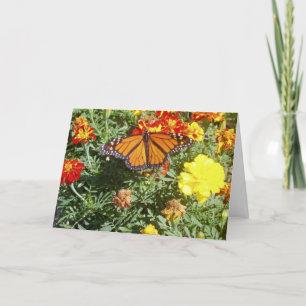 "Einblendung" Get Well Card Karte