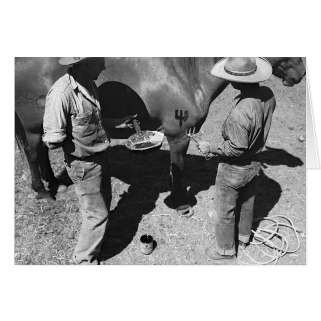 Einbrennende Pferde mit der Heugabelmarke (Vorderseite (Horizontal))