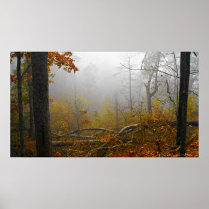 Eindringen von Nebel in das Herbstwald-Poster Poster
