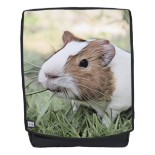 eindrucksvolles Tier - Guineaschwein Rucksack
