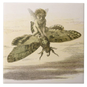 Eine Abends-Fahrt, Illustration von 'im Fliese
