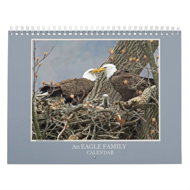 Eine Adlerfamilie Kalender (Titelbild)
