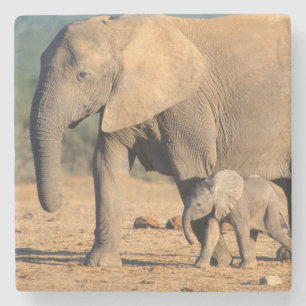 Eine afrikanische Elefantenmutter mit ihrem Kalb a Steinuntersetzer
