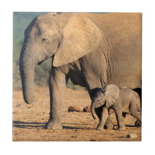 Eine afrikanische Elefantenmutter und ihr Jungtier Fliese