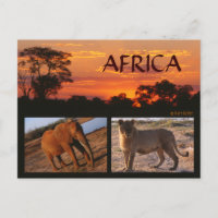 Eine afrikanische Safari-Postkarte