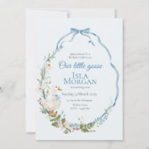 Eine Alberne kleine Gänse Geburtstagsfarbe