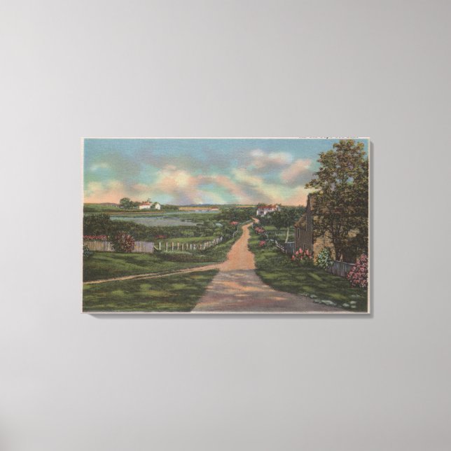 Eine alte Cape Cod Lane Ansicht Leinwanddruck (Vorderseite)