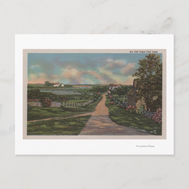 Eine alte Cape Cod Lane Ansicht Postkarte (Vorderseite)