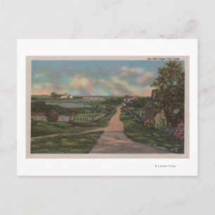 Eine alte Cape Cod Lane Ansicht Postkarte