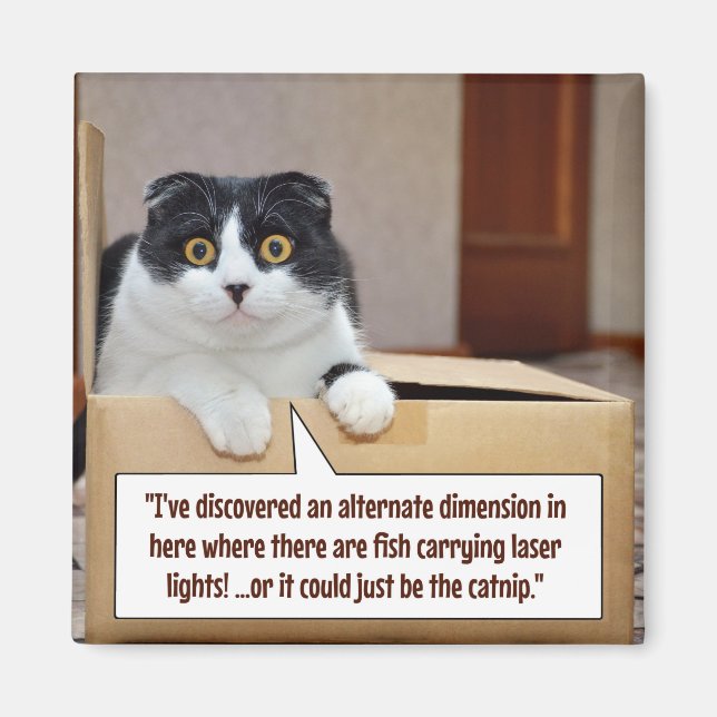 Eine alternative Dimension Magnet (Vorne)