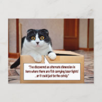 Eine alternative Dimension