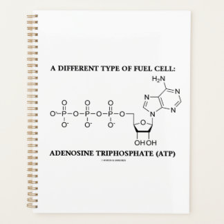 Eine andere Art der ATP-Biochemie für Brennstoffze Planer