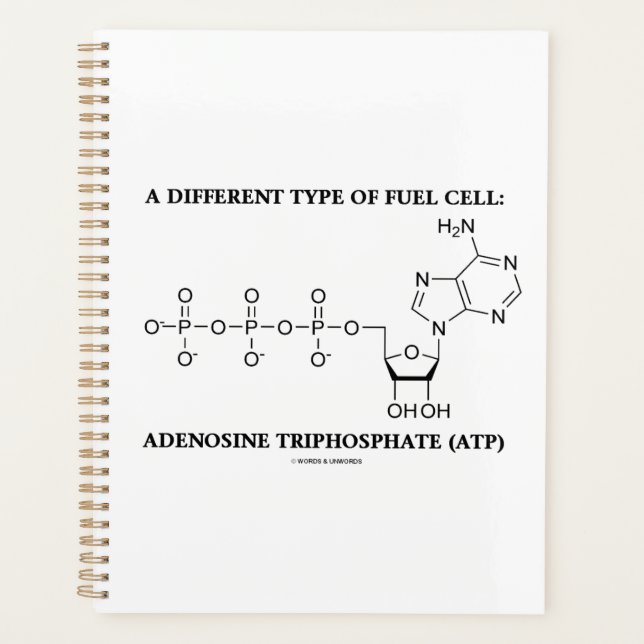 Eine andere Art der ATP-Biochemie für Brennstoffze Planer (Vorderseite)