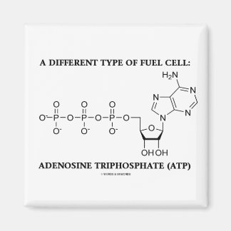 Eine andere Kraftstoffzelle (ATP) Magnet