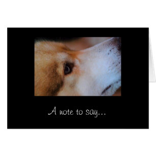 Eine Anmerkung zum zu sagen.