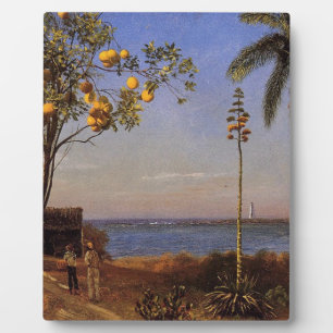 Eine Ansicht auf den Bahamas von Bierstadt Albert. Fotoplatte