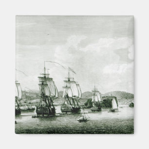 Eine Ansicht der Insel von St-Lucie Magnet