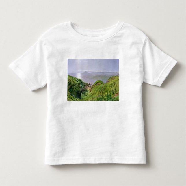 Eine Ansicht von Ailsa Craig und die Insel von Kleinkind T-shirt (Vorderseite)