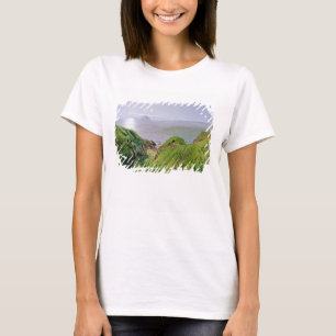 Eine Ansicht von Ailsa Craig und die Insel von T-Shirt