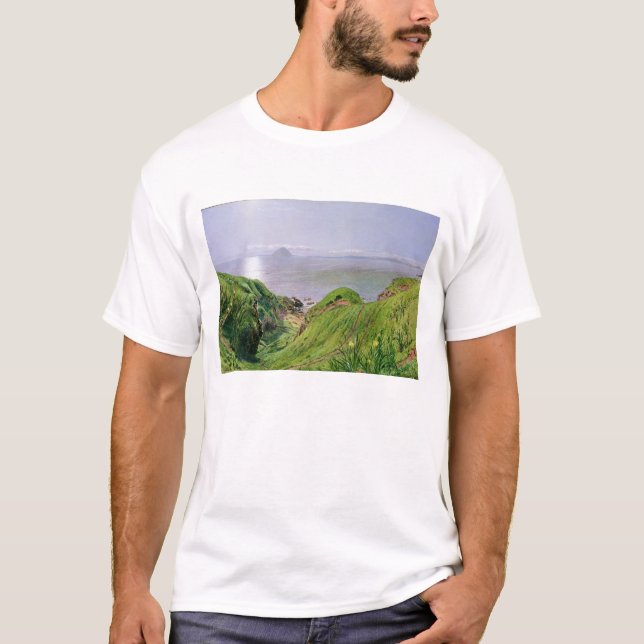 Eine Ansicht von Ailsa Craig und die Insel von T-Shirt (Vorderseite)