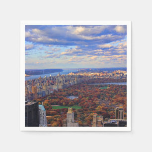 Eine Ansicht von oben: Herbst im Central Park 01 Serviette