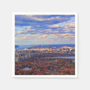 Eine Ansicht von oben: Herbst im Central Park 01 Serviette