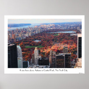 Eine Ansicht von oben: Herbst im Central Park 01C Poster