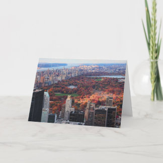Eine Ansicht von oben: Herbst in Central Park 01 Karte