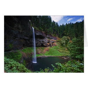 Eine Ansicht von South Falls im Silver Falls State