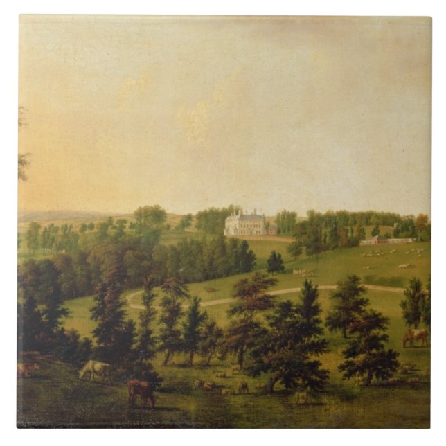 Eine Ansicht von Tapeley Park, Instow, NordDevon Fliese (Vorderseite)