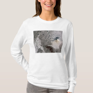 Eine Aschenspülung steigt T-Shirt