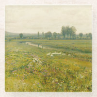 Eine ausgedehnte Wiesen-Landschaft mit Gänsen