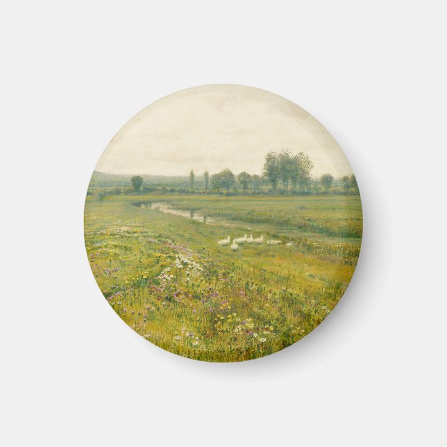 Eine ausgedehnte Wiesen-Landschaft mit Gänsen Magnet (Vorne)