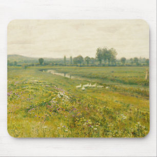 Eine ausgedehnte Wiesen-Landschaft mit Gänsen Mousepad