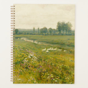 Eine ausgedehnte Wiesen-Landschaft mit Gänsen Planer