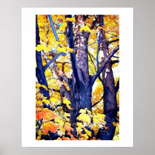 Eine Aussicht auf die Trunker im Herbst Poster