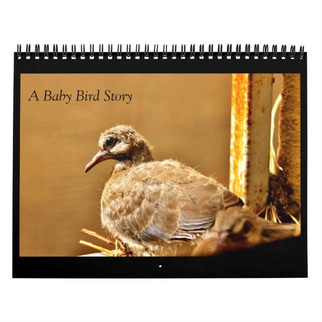 Eine Baby-Bird-Geschichte Kalender (Titelbild)