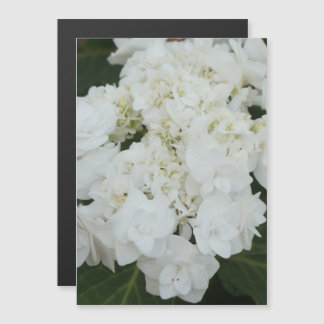 Eine bezaubernde Hydrangea Magneteinladung